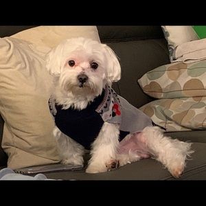 Meet your Posher, Iris